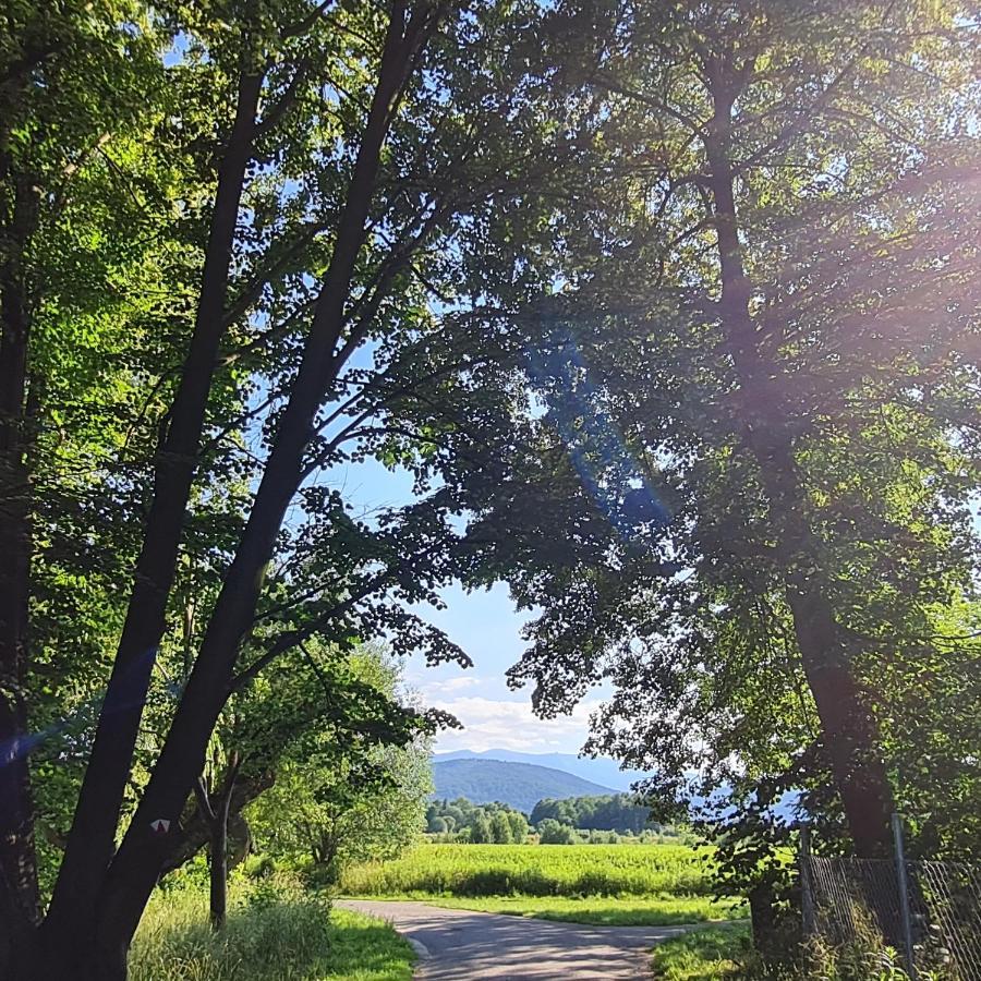 Appartamento Moja Milosc. Podgórzyn Esterno foto
